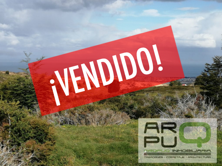 Se vende gran Parcela Sector Andino Se vende gran Parcela Sector Andino
