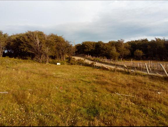 Se venden terrenos urbanos sector sur Se venden terrenos urbanos sector sur