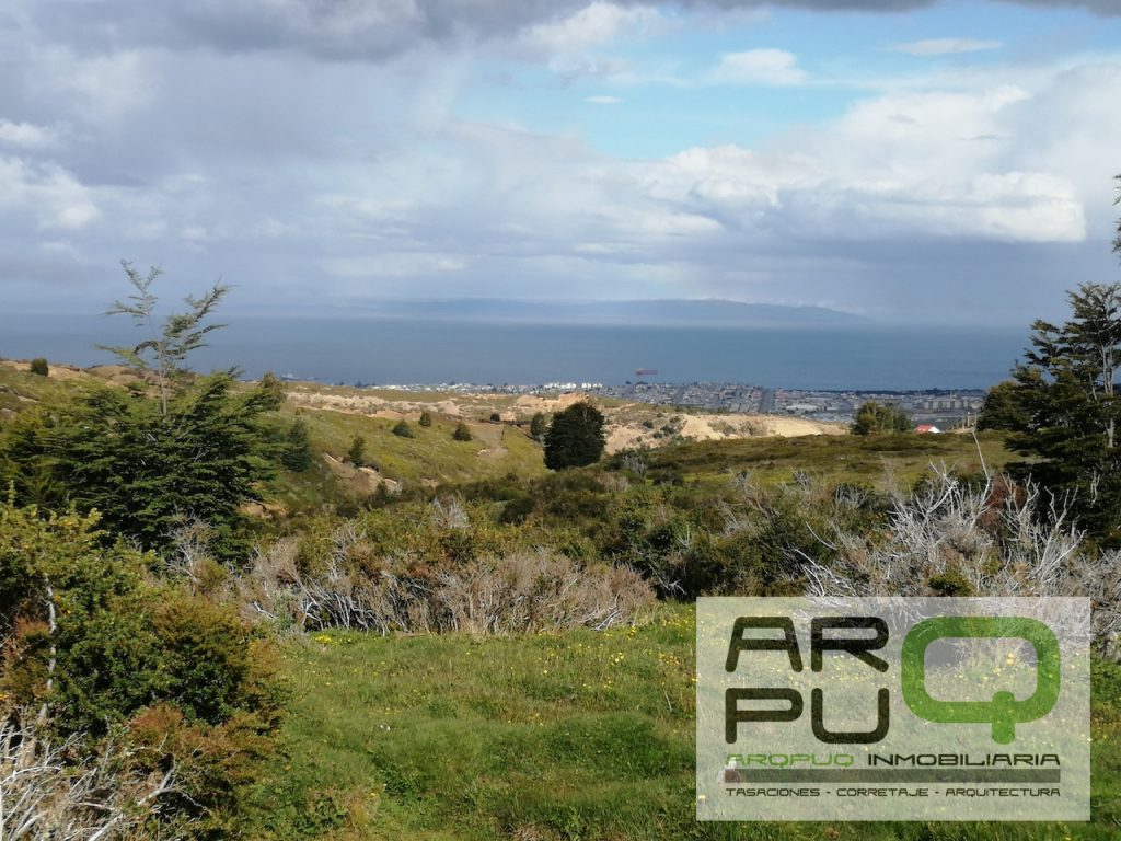 Se vende gran Parcela Sector Andino Se vende gran Parcela Sector Andino